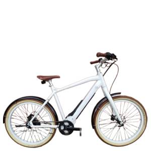 Bulls Sturmvogel E Evo